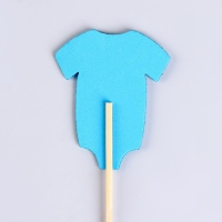 Шпажки - шампуры для канапе &laquo;Гендерная вечеринка&raquo;, набор 6 штук