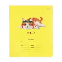 Тетрадь 12 листов в клетку &laquo;Кошечки&raquo;, МИКС