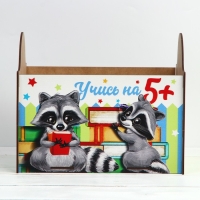 Органайзер для хранения , ящик &laquo;Еноты&raquo;