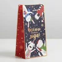 Пакет без ручек &laquo;Новогоднее время&raquo;, 10 х 19,5 х 7 см