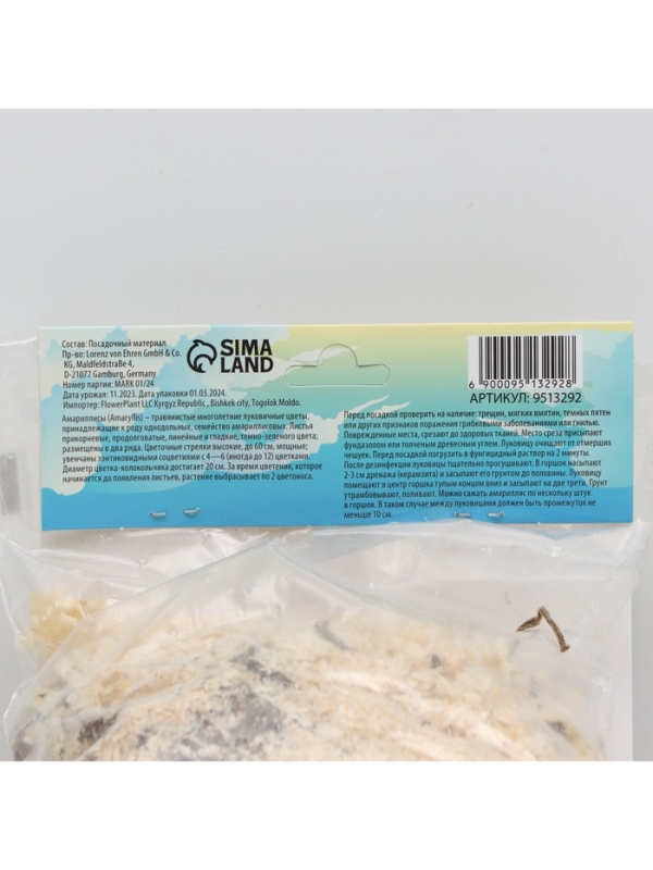 Амариллис Flamenco Queen, многолетник, луковица, р-р 22/24, 1 шт.