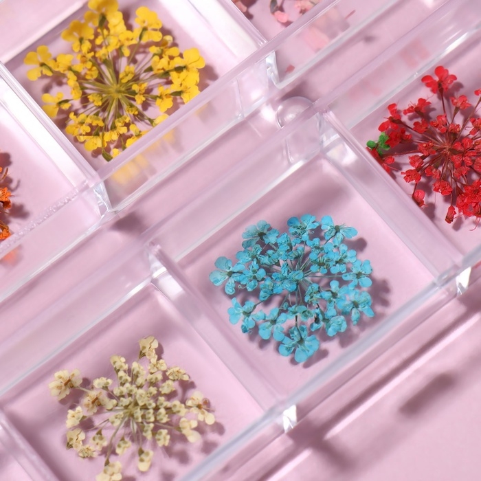 Сухоцветы для декора ногтей, 12 видов, в футляре, цвет разноцветный Сухоцветы для декора ногтей, 12 видов, в футляре, цвет разноцветный