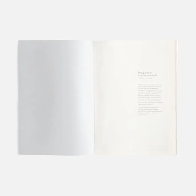 Ежедневник Repute, недатированный, синий