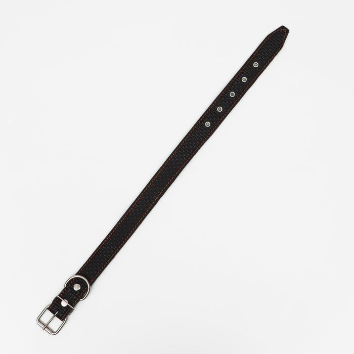 Ошейник кожаный с тиснением на синтепоне, 70,5 х 3.5 см, ОШ 45-60 см, чёрный Ошейник кожаный с тиснением на синтепоне, 70,5 х 3.5 см, ОШ 45-60 см, чёрный