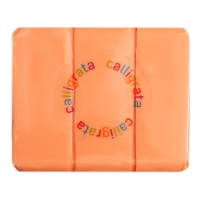 Полимерная глина Calligrata "Спелое манго", оранжевый, 50гр Полимерная глина Calligrata "Спелое манго", оранжевый, 50гр