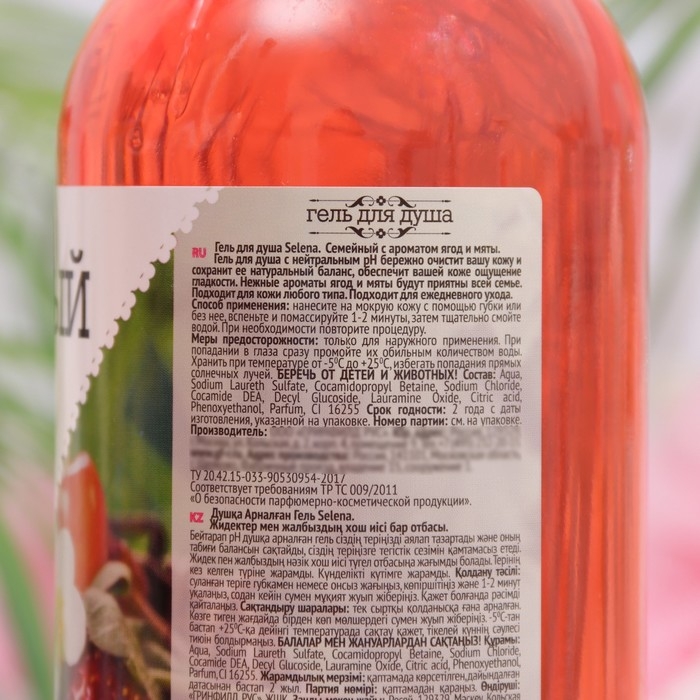 Гель для душа Гель для душа "СЕМЕЙНЫЙ" ягоды и мята, 750 мл