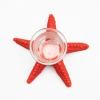Подсвечник "Морская звезда" 13*8см Подсвечник "Морская звезда" 13*8см