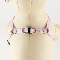 Комплект &laquo;Ласточки&raquo;, шлейка 24-36 см, поводок 120х1 см