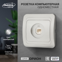 Розетка компьютерная одноместная Luazon Lighting "Орион", скрытая, серебристая Розетка компьютерная одноместная Luazon Lighting "Орион", скрытая, серебристая