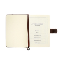 Ежедневник недатированный А5, 140л, клетка, к/зам, с ручкой, в подар. короб., Коричневый Ежедневник недатированный А5, 140л, клетка, к/зам, с ручкой, в подар. короб., Коричневый