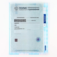 Папка для медицинского полиса &laquo;Наш котёнок&raquo;, 17,5 х 11,3 см.