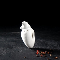 Набор для специй Доляна &laquo;Зайка&raquo;, 2 предмета: солонка 50 мл, перечница 40 мл, цвет белый