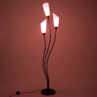 Торшер "Айрис" 3хЕ27 15Вт черно-фиолетовый h.167 см Торшер "Айрис" 3хЕ27 15Вт черно-фиолетовый h.167 см