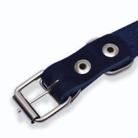 Ошейник кожаный однослойный, 45 х 2 см, ОШ 25-35 см, синий Ошейник кожаный однослойный, 45 х 2 см, ОШ 25-35 см, синий