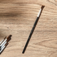 Кисть для рисования набор 5 шт. пони №1,2,3,4,5 &laquo;Ван Гог&raquo;