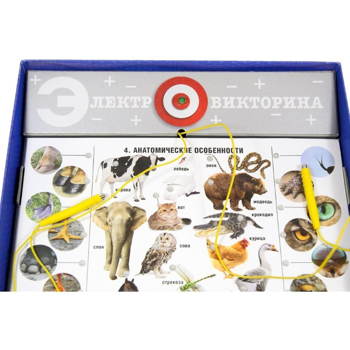 Электровикторина &laquo;Живая природа&raquo;