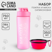 Набор поилка и силиконовая миска &laquo;&lrm;Котики&raquo;&lrm;