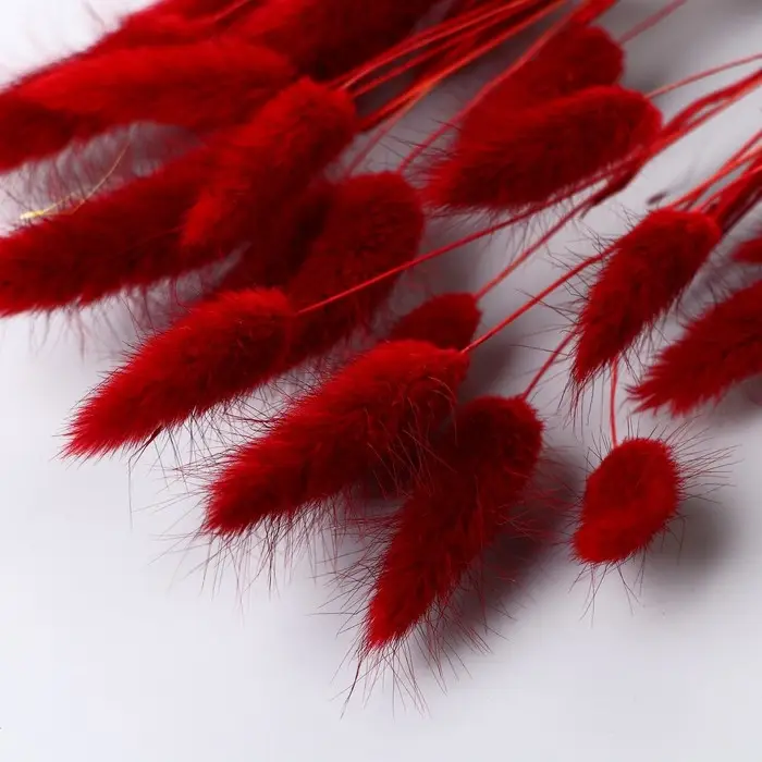 Сухоцветы &laquo;Лагурус&raquo;, h=65 см, (фасовка 30 шт., цена за 1 шт.), красные