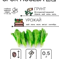 Семена Салат листовой "Московский парниковый", 0,5 г