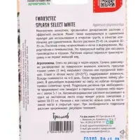 Семена цветов Гипоэстес Сплэш Селект Белый (Splash Select White)(PanAmerican Seed) 4шт.  12.29 г. 10