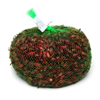 Лук севок Кармен , р-р 18-21, 1 кг, Весна 2025