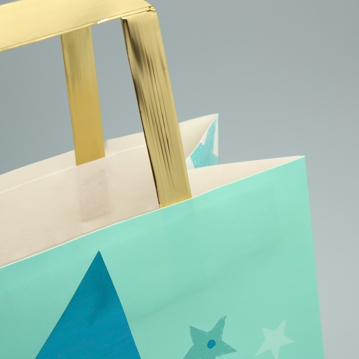 Упаковка, пакет подарочный, &laquo;Сияй&raquo;, ML 23 х 27 х 11.5 см