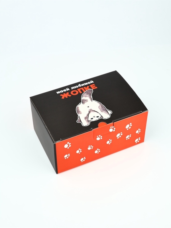 Коробка‒пенал &laquo;Забавный котик&raquo;, 22 х 15 х 10 см