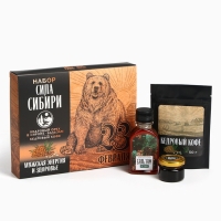 Набор &laquo;Сила Сибири&raquo;: кедровый орех в сосновом сиропе 25 г., бальзам 100 мл., кедрокофе 50 г.
