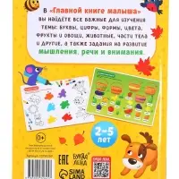 Энциклопедия в твёрдом переплёте "Главная книга малыша", 96 стр.