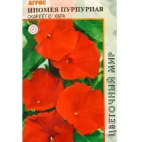 Семена Ипомея пурпурная "Скарлет О`Хара" 1 г