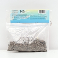 Лилия Азиатская Кашпо Foxtrot, луковица в пакете с перфорацией, р-р 12/14, 2 шт.