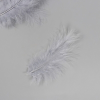 Перо декоративное гусиное пуховое "Серое" набор 40 шт h=10-15 см