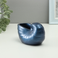 Гипсовая ваза декоративная настольная &laquo;Ракушка&raquo;, для цветов, сухоцветов, 8&times;13х7см, тёмно-синий