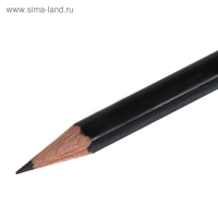 Карандаш профессиональный чернографитный 2.0 мм, Koh-I-Noor 1900 B, L=175 мм Карандаш профессиональный чернографитный 2.0 мм, Koh-I-Noor 1900 B, L=175 мм