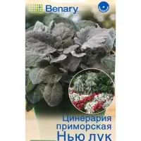 Семена цветов Цинерария Нью Лук серебристая  (драже в пробирке) Спецсерия Benary, Ц/П,15 шт. 1094592
