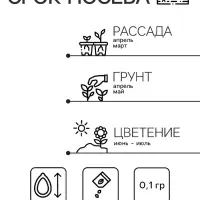 Семена Кампанула &laquo;Средняя Радуга&raquo;, 0.1 г, &laquo;Агрос&raquo;