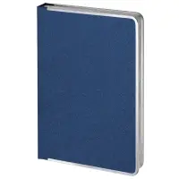 Ежедневник Frame Metal, недатированный, синий