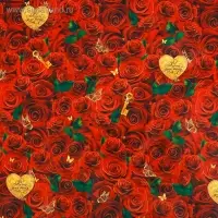 Бумага упаковочная глянцевая &laquo;Розы для тебя&raquo; 70 х 100 см