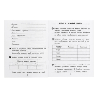 Тренажёр &laquo;Окружающий мир&raquo; 2 кл.