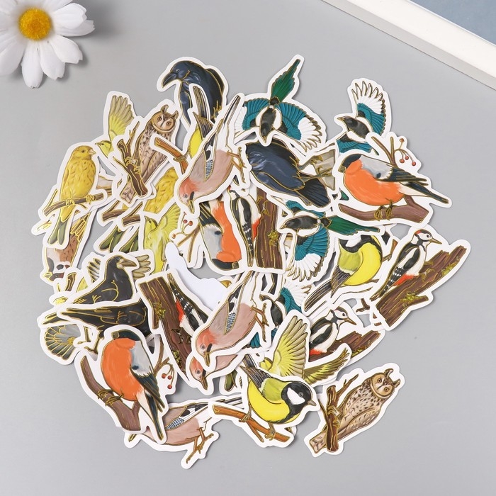 Наклейки для творчества Наклейки для творчества "Городские и лесные птицы" тиснение золото набор 48 шт 9х7х0,8 см
