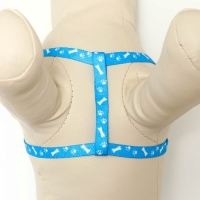 Комплект "Классика", капрон, поводок 120 х 1 см, ОГ 21-35 см, голубой Комплект "Классика", капрон, поводок 120 х 1 см, ОГ 21-35 см, голубой