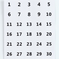 Алмазная мозаика с полным заполнением на холсте &laquo;Тигр в воде&raquo;, 40 х 50 см