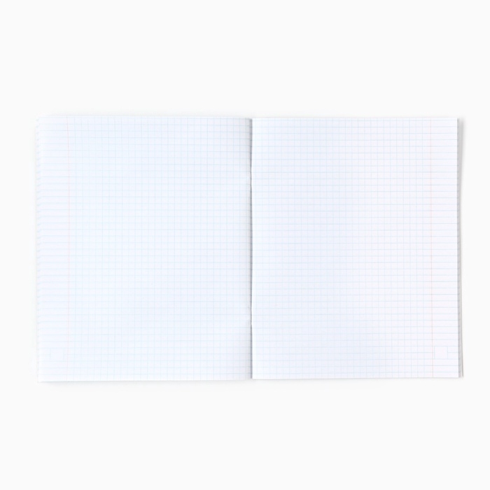 Набор тетрадей 48 листов, в клетку, А5, Гравити Фолз