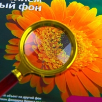 Лупа классическая в золотой оправе 6х, d=6см Лупа классическая в золотой оправе 6х, d=6см