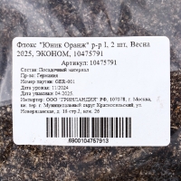 Флокс "Юник Оранж" р-р I, 2 шт, Весна 2025, ЭКОНОМ,