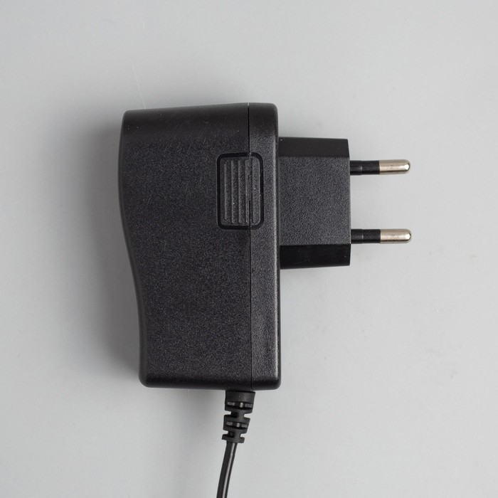 Гирлянда &laquo;Мишура&raquo; 10 м роса, IP20, серебристая нить, 200 LED, свечение белое, 12 В