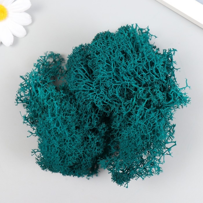 Мох стабилизированный "Морская волна" МИКС 45 гр (+-5 гр)