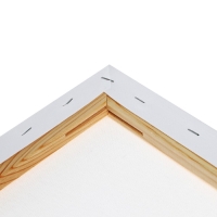 Холст на подрамнике 1,6х100х120 см, Calligrata, хлопок 100%, акриловый грунт, среднезернистый, 380г/м² Холст на подрамнике 1,6х100х120 см, Calligrata, хлопок 100%, акриловый грунт, среднезернистый, 380г/м²