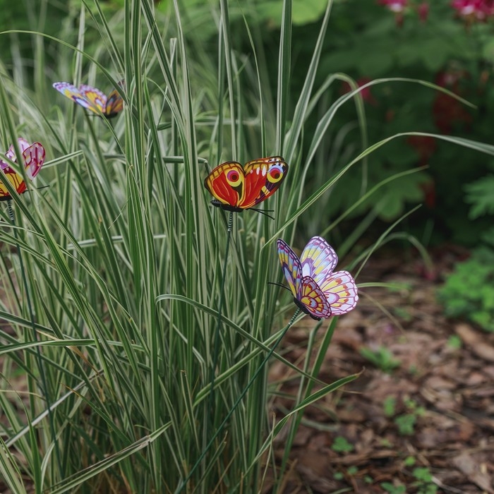 Штекер "Бабочка Дольче" 12&times;9см/30см, набор 10шт, МИКС
