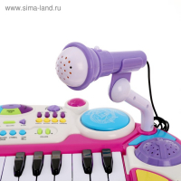 Синтезатор «Звезда» со стульчиком и микрофоном, 24 клавиши, 10 функций Синтезатор «Звезда» со стульчиком и микрофоном, 24 клавиши, 10 функций